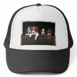 Beagles Hats