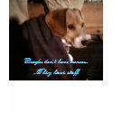 Beagles have staff t-shirts