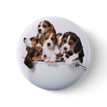 Beagles in Bucket Button