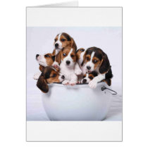 Beagles in Bucket Greeting Cards
