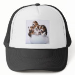 Beagles in Bucket hats