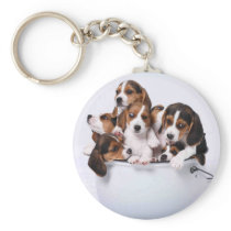 Beagles in Bucket Keychain