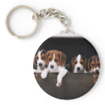 Beagles Keychain