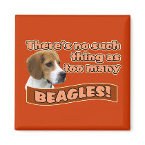 BEAGLES magnets by doglovertees BEAGLES magnets