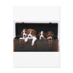 Beagles Post Cards