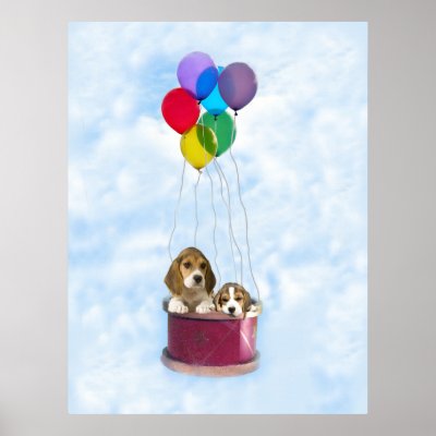 Beagles Print by normagolden