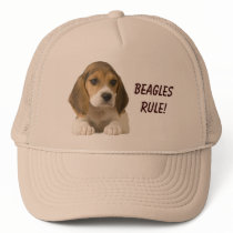 Beagles Rule Hat