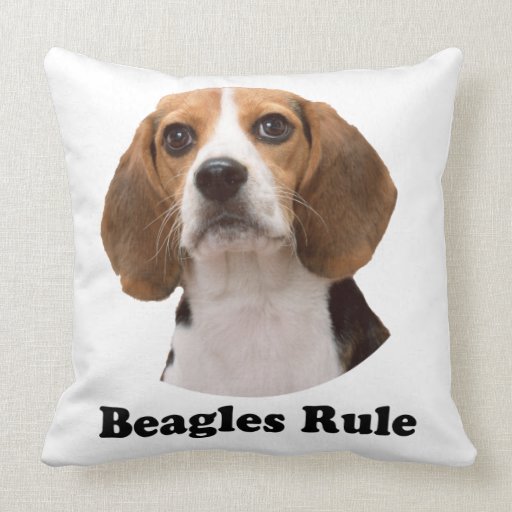 Beagles Rule Pillow