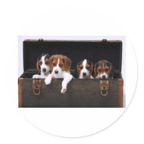 Beagles Stickers
