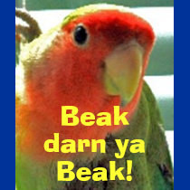 Beak darn ya t-shirts