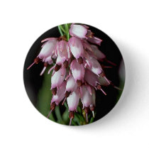 Beak Flowers Pinback Buttons