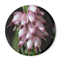 Beak Flowers Magnet