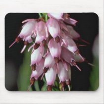 Beak Flowers Mouse Pad