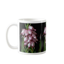 Beak Flowers Mugs