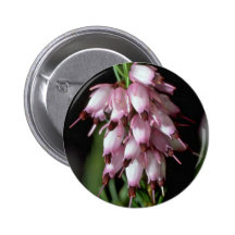 Beak Flowers Pinback Buttons