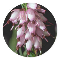 Beak Flowers Sticker