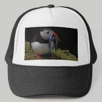 Beak Full of Fish Puffin Hat