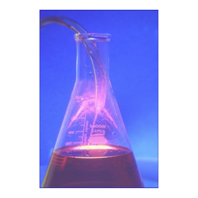 Beaker Print by daysrays