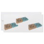 Beam as Be Beryllium and Am Americium Personalized Rack Card