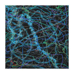 Beam Me Up Scotty! Stretched Canvas Print