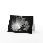 Beaming in Darkness Card