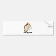 Bean Lover Inside (Bean Dicotyledon) Bumper Stickers