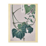 Bean plant showing vine and blossoms by Matsuwo Postcard