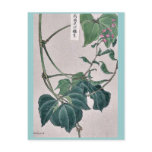 Bean plant showing vine and blossoms by Matsuwo Postcard