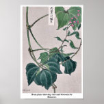 Bean plant showing vine and blossoms by Matsuwo Poster