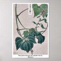 Bean plant showing vine and blossoms by Matsuwo Poster