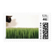 beanANDgrass Postage Stamps