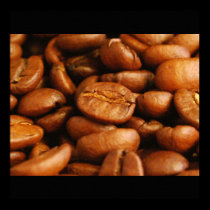 Beans Galore posters