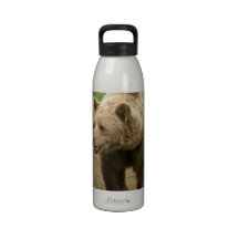 bear-88.jpg drinking bottle