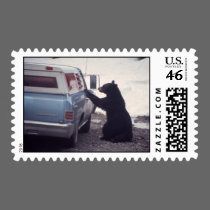Bear and car postage