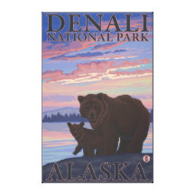 Bear and Cub - Denali National Park, Alaska Gallery Wrap Canvas