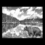 Bear and Mountains Poster posters