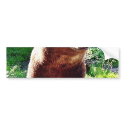 Bear Animal Bumper Stickers by lifesphere