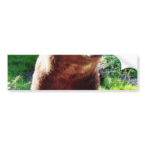 Bear Animal bumper stickers by lifesphere Bear Animal bumper stickers