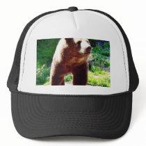 Bear Animal hats by lifesphere Bear Animal hats