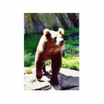 Bear Animal Acrylic Cut Out