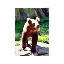 Bear Animal photo sculptures by lifesphere Bear Animal photo sculptures