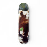 Bear Animal Skateboard Decks