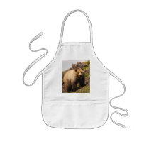 bear aprons