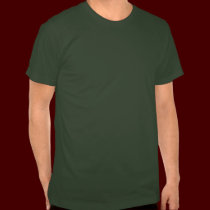 Bear Art Shirt Northern Lights Bear T-shirts Gifts t-shirts