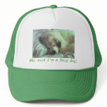 Bear asleep hats