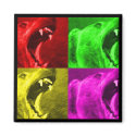 Bear bear magnets