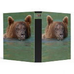 bear binders
