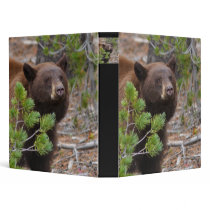 bear binders