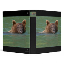 bear binders