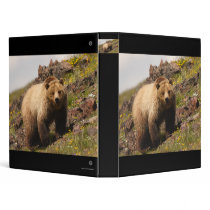 bear binders
